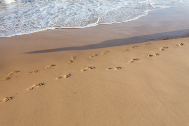 Similar image 12982197