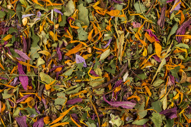 Similar image 12982315