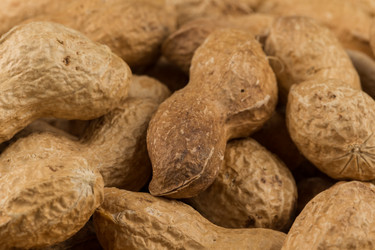 Similar image 12982333