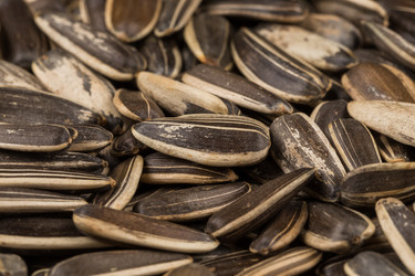 Similar image 12982413