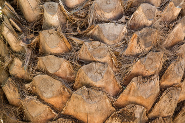 Similar image 12982491