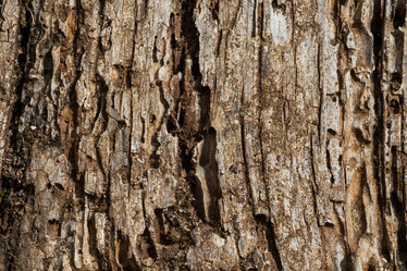 Similar image 12982510