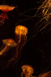 Similar image 12697872