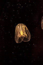 Similar image 12697874