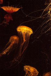 Similar image 12697875