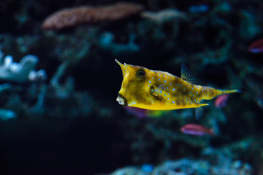 Similar image 12697881