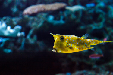 Similar image 12697882