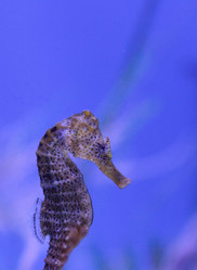 Similar image 12697885