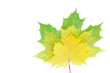 Similar image 12695319