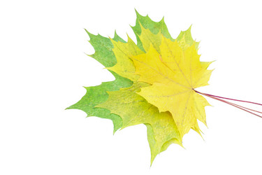 Similar image 12695320