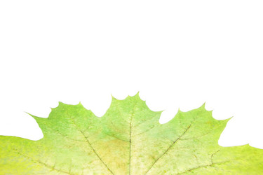 Similar image 12695371