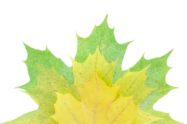 Similar image 12695387