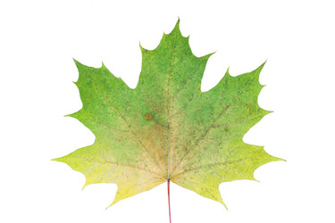 Similar image 12695381