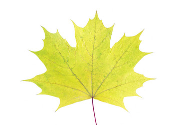 Similar image 12695382