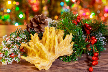 Similar image 12695079