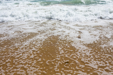 Similar image 12982823