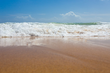 Similar image 12982825