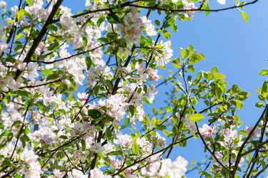 Similar image 12982058