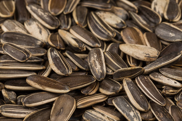 Similar image 12982124