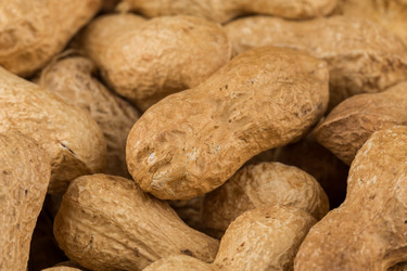 Similar image 12982179