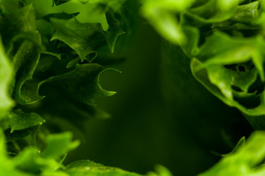 Similar image 12982198