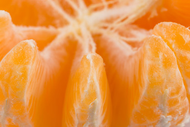 Similar image 12982217