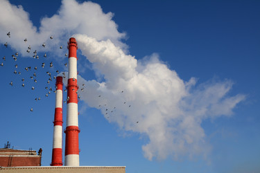 Similar image 12981326