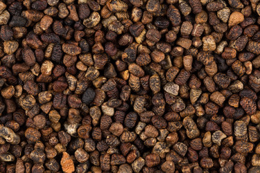 Similar image 12982632