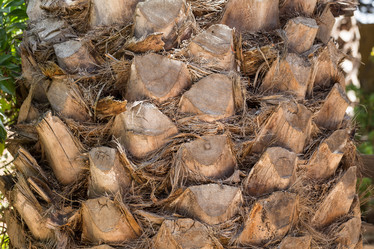 Similar image 12982651