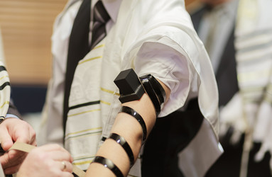 Similar image 12695096