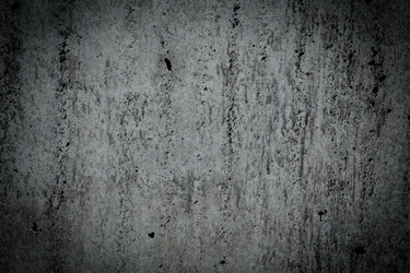 Similar image 12981268