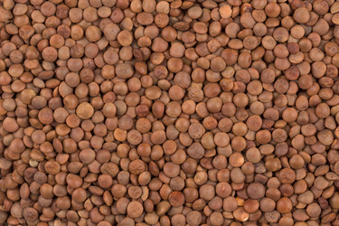 Similar image 12982017