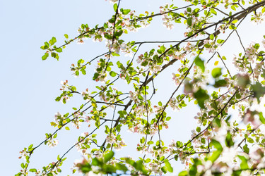 Similar image 12982080