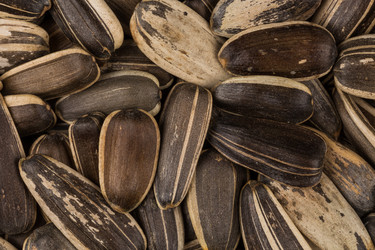 Similar image 12982241