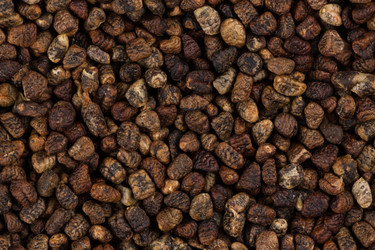 Similar image 12982281