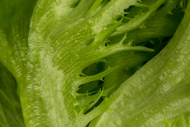 Similar image 12982319