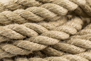 Similar image 12982376