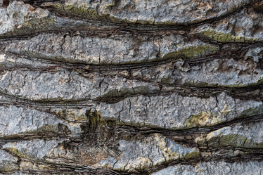 Similar image 12982420