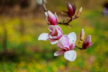 Similar image 12695009