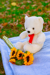 Similar image 12695020