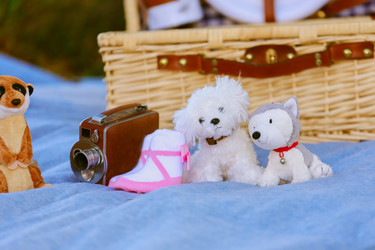 Similar image 12695021