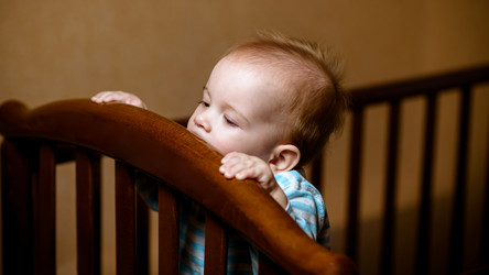 Similar image 12698000