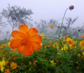 Similar image 12692325