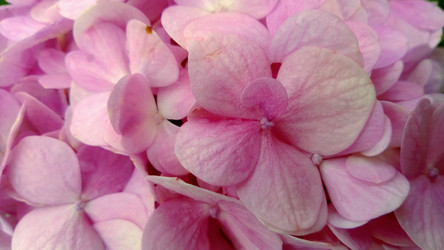 Similar image 12692365