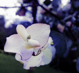 Similar image 12692366