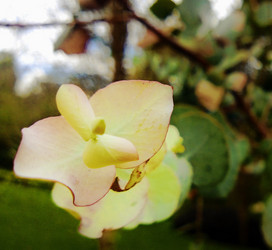 Similar image 12692404