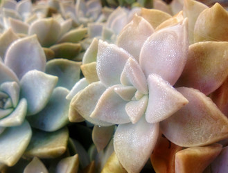 Similar image 12692406