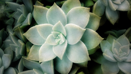 Similar image 12692408