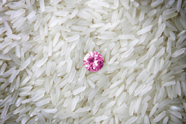 Similar image 12692341