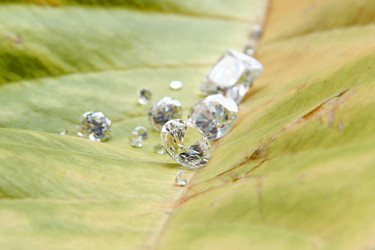 Similar image 12692445